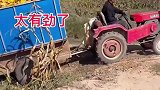 拖拉机装玉米，太有劲了