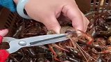 七星级酒店的大厨，在清理龙虾的时候，是样操作的！