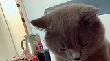 又等着踩脑袋呢