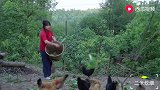 花了2个月时间，用泥土把鸭蛋腌制成一种特殊的美味