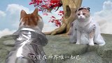 仙剑喵喵：他不是我的飞蓬
