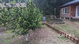 在农村开家小店，一样能做到工作家庭两不误