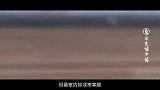 河南洛阳挖出被盗古墓，出土三国猛将印章，专家立刻锁定身份
