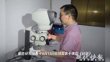 这个6亿年前的“奇怪”化石,为揭开动物起源之谜提供重要新线索