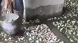 工人在地上铺碎石，制作水磨石地板