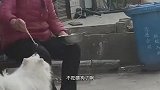 大象：你说巧不巧 刚好我就饿了