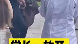 同学，对学长温柔点，放开我自己会走
