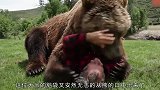 战斗民族就是猛，还和熊比起了摔跤，最后谁赢了