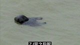 厦门S妻碎S惨案  (完)  真实案件