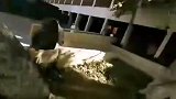 国外极限运动跑酷简直不要太刺激