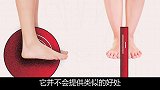 人类为什么没有进化出轮子，而是用腿行走？（二）