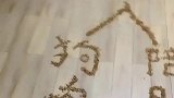 看到主人摆的“狗肉馆”和“陪跳舞”，二哈又该怎么抉择？