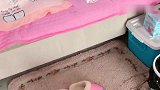 爸爸问泰迪妈妈在哪睡觉，泰迪立马演示一遍，真聪明！