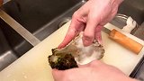 这样吃生蚝太过瘾了，超大个的一口一个，原汁原味