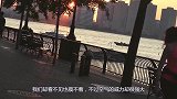 空气的威力有多大？压缩成加农炮弹，看木屋下场就知道！