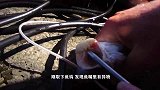 渔夫打捞到一只神秘生物，专家细看后，脸色一变：原来是它！