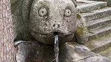 这一幕把人看呆了，这造型谁看见谁笑翻