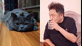谦大爷在线等绝活