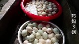 这样腌咸鸭蛋最简单，个个起沙流油，一次腌300个不够吃