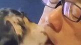 主人睡着了，狗狗用嘴巴帮主人刷牙，画面太辣眼睛