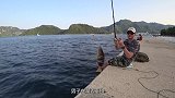 老外去湖边垂钓，却发现天鹅久久停在湖面上，仔细一看不对劲！