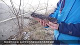 岩浆倒在汽车上会爆炸吗？国外牛人亲测，结果出乎意外！