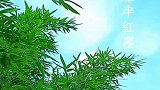 人生哪能多如意，万事只求半称心。