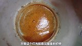 多只丰年虾喂鱼，不到30秒吃完，这吃相我都心动了