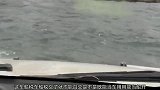 某动物园发生一起惨案，据说是因为秀恩爱