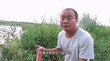 夜钓攻略：用酒米打窝蚯蚓钓，鱼多而且大