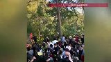 “前方无厕所、无烤肠、无茶叶蛋，各位回家吧”，景区迎人潮高峰，工作人员幽默劝返