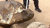 大哥户外捡来的石头，敲开观看内部结构，发现玉石就要发大财了