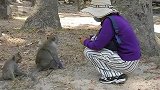 小猴珍妮这种状态真让人心痛，连抱着猴妈的力气都没有了
