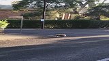 你们不是想看动态