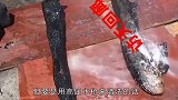 老外拿高压水枪爆冲10年没洗地毯，洗完后，网友-这新买的吧！