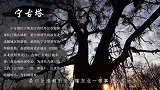 清朝皇帝将犯人发配宁古塔，还给披甲人为奴，此刑罚有多重
