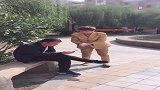让你笑掉大门牙，太搞笑