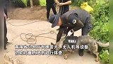 宝妈带两岁半小孩探亲时走散，20小时后在一处山坡被发现，母亲激动哽咽