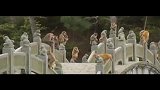 旅游-《忆千岛，心飞翔》——【自制】千岛湖旅游宣传片