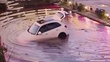 悲伤那么大！主人下车忘熄火 狗误踩档位将车开进池塘