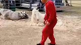 一会儿给你一脚你就不嘚瑟了！