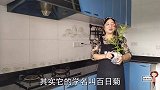 妹妹送我一颗绿植，不知道我这种摧花神手能不能养活，跪求小妙招