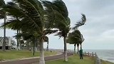 二级预警！台风“浪卡”逼近海南：海边风大浪急，椰树被吹弯腰