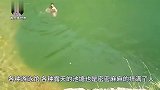 8个孩子下水游泳只有一个幸存生还抽干池塘水村民吓坏了