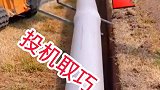 一顿操作猛如虎，一年白干还得补