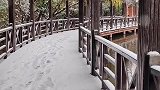 如果没时间去南岳，就来平湖公园听雪落的声音吧