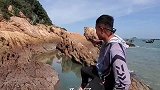 灯塔下发现宝藏大水坑，坑底龙虾都是最不起眼的