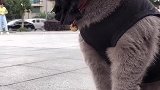 这位大妈你在等谁