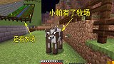 我的世界联机11：小帕的牧场完工了，这下不用担心皮革不够用