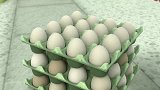 汪汪队立大功：复活节到来了，亚力带来一颗超大彩蛋，这是什么蛋